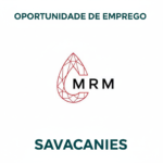 Montepuez Ruby Mining Lda