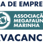 AMM- Associação Megafauna Marinha