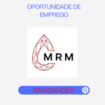 Montepuez Ruby Minng Lda