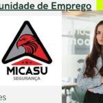 Micasu Segurança