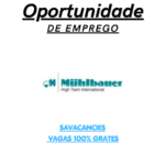 Muhlbauer ID Services GmbH