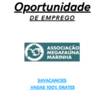 Associação Megafauna Marinha (AMM)