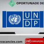 Programa das Nações Unidas para o Desenvolvimento (PNUD / UNDP)