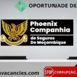 Phoenix Companhia de Seguros de Moçambique, S.A.