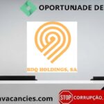 BDQ Holdings