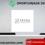 Pluma Blinds