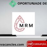 Montepuez Ruby Mining (MRM)