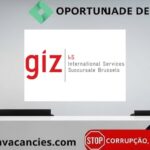 GIZ International Services (InS)