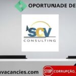 SCV Consulting