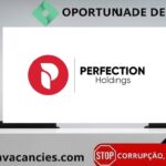 Perfection Holdings