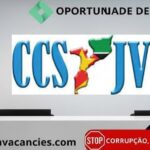 CCS JV