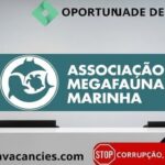 Associação Megafauna Marinha (AMM)