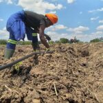 AGRO-INDUSTRIAL DE SALAMANGA